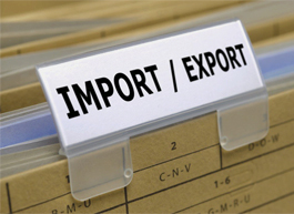 Import/Export (IE) Code