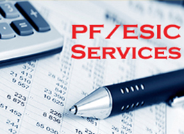 PF/ESI Services